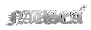 NAUSEA WORLDWIDE logo